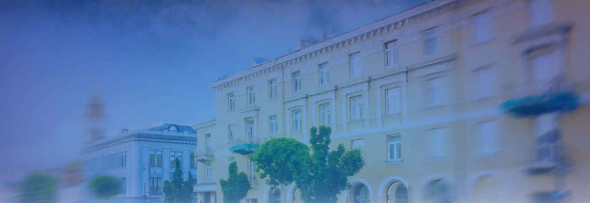 Fondo del simulador de crédito
